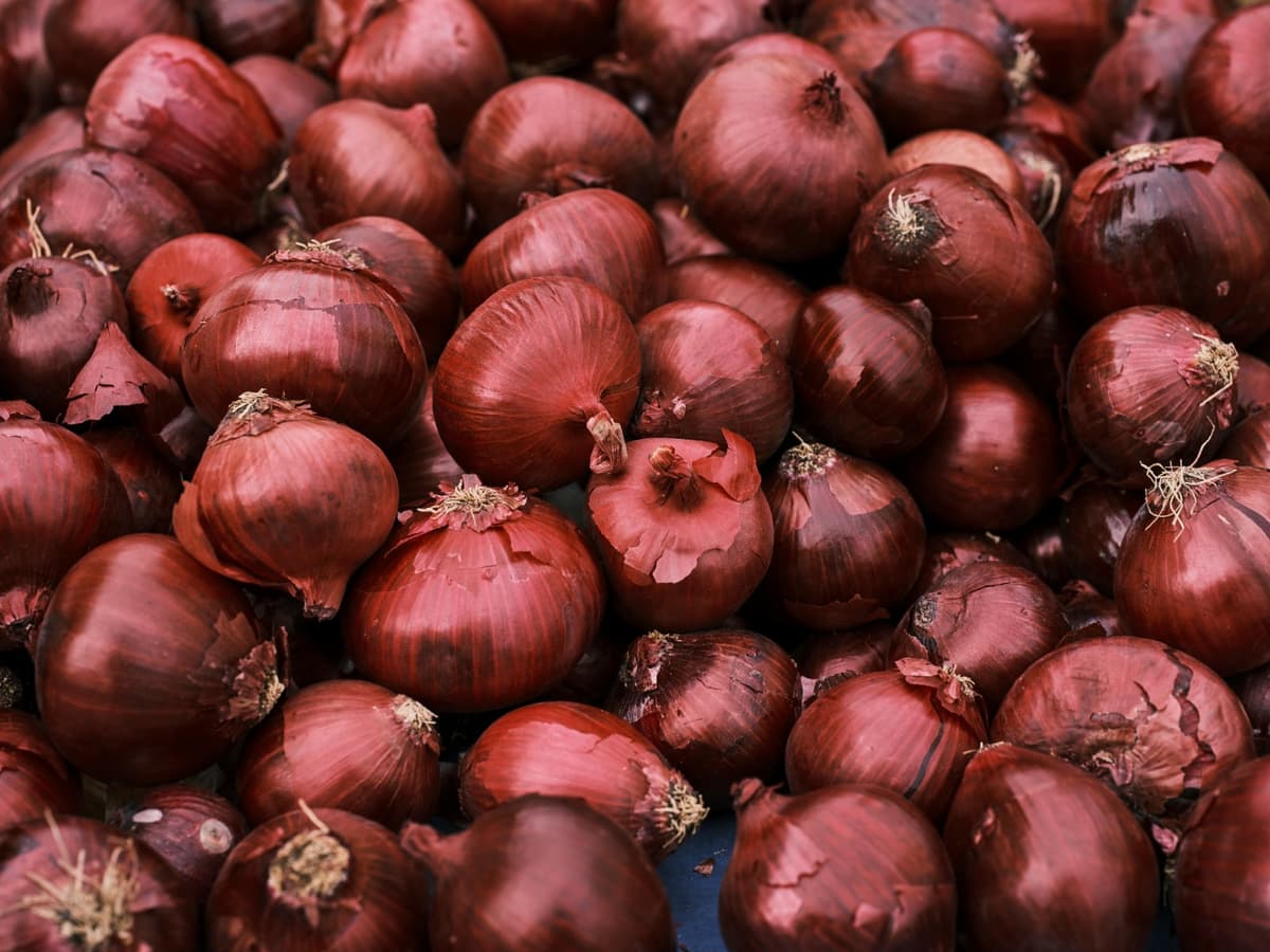 Onion Flakes - Image 2